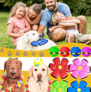 Bola Pet Disco Voador - Brinquedo Mágico