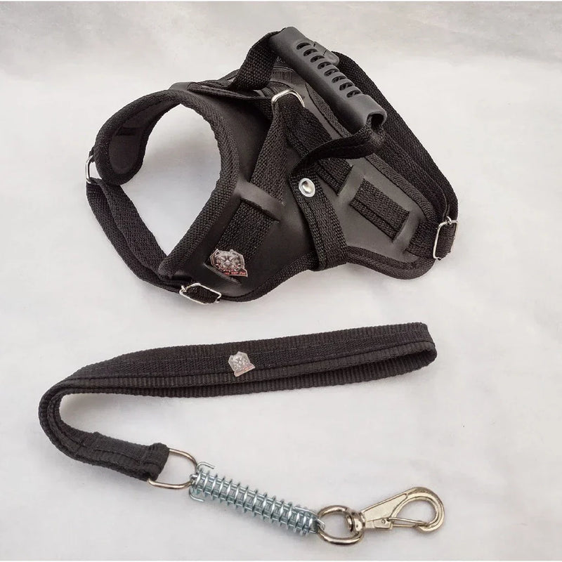 Peitoral Reforçado em Couro para Raças Fortes – Segurança, Durabilidade e Conforto